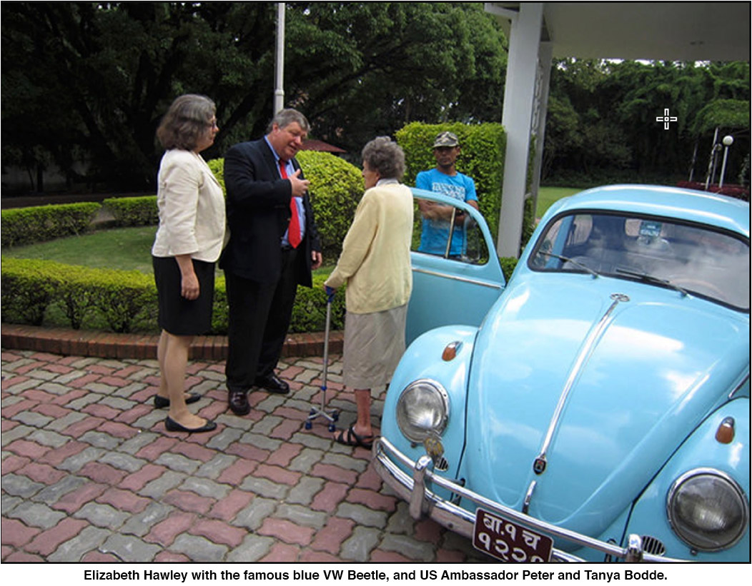 Hawley obit beetle